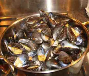 Recipes for mussels can be cooked in a jiffy but preparing them takes a few minutes; you must first sort out any cracked shells and make certain none are dead. 