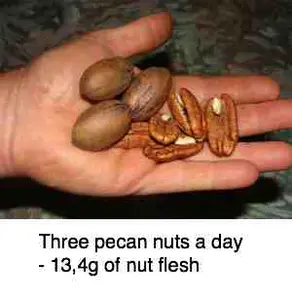 Pecan nuts 3 in hand
