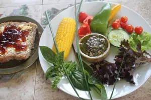 Whole carbs and salad lunch