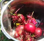 beets in pressure cooker
