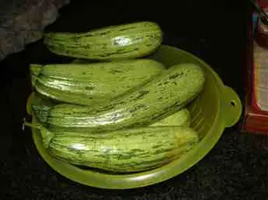 Growing zucchini means just tossing seeds into some compost; one of the few veggies that are rich in both phytochemicals that prevent blindness and cataracts.