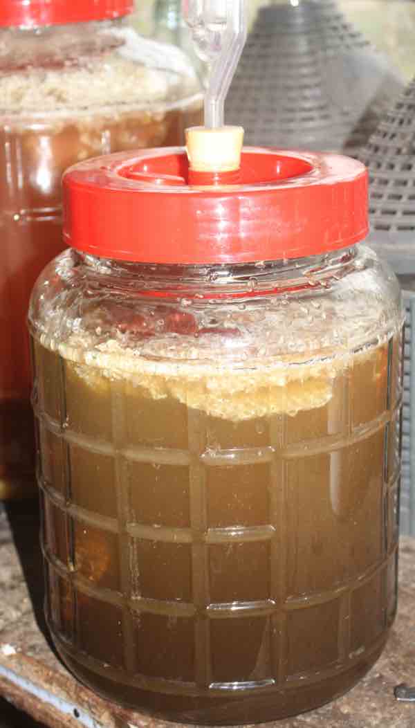 8L carboy turmeric mead 8L carboy turmeric mead