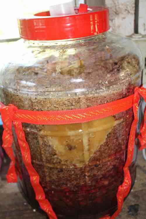 All hive cherry guava mead in carboy