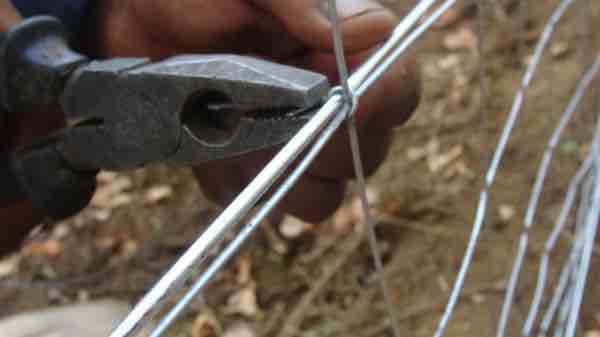 Attaching fencing to the cables. Attaching fencing to the cables.