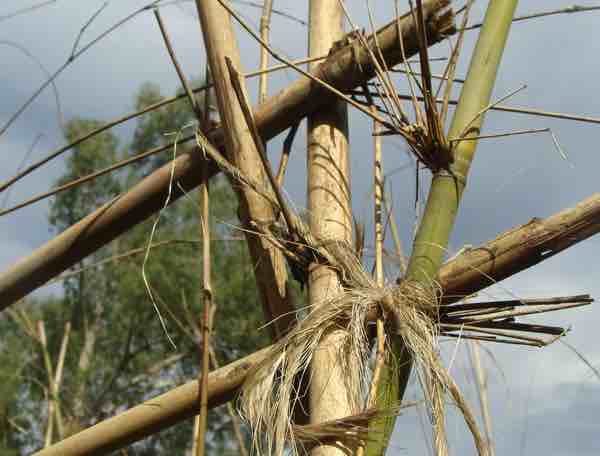 Bamboo garden trellis ties Bamboo garden trellis ties