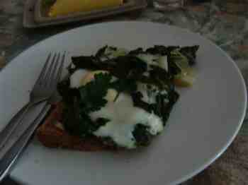 Coriander is a wonderful herb to add to your eggs Florentine for the perfect Banting breakfast. Coriander is a wonderful herb to add to your eggs Florentine for the perfect Banting breakfast.