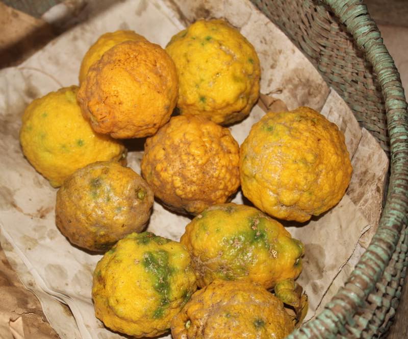 Basket of lemons Basket of lemons