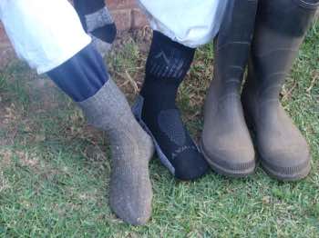 Protect your ankles from bee stings with two pairs of socks and white gumboots.