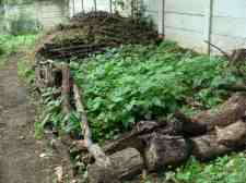 Compost heap 225 Compost heap 225