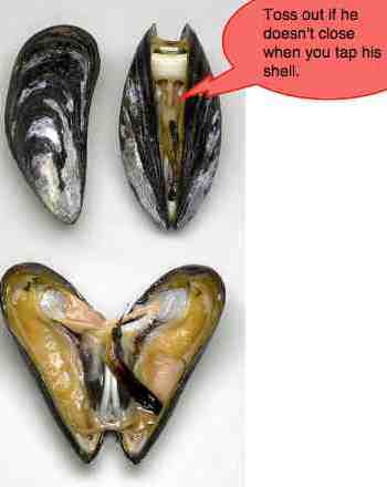 Blue mussels