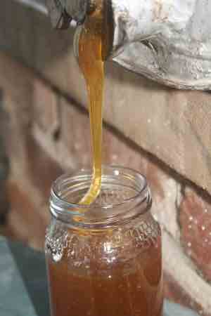 Bottling honey Bottling honey