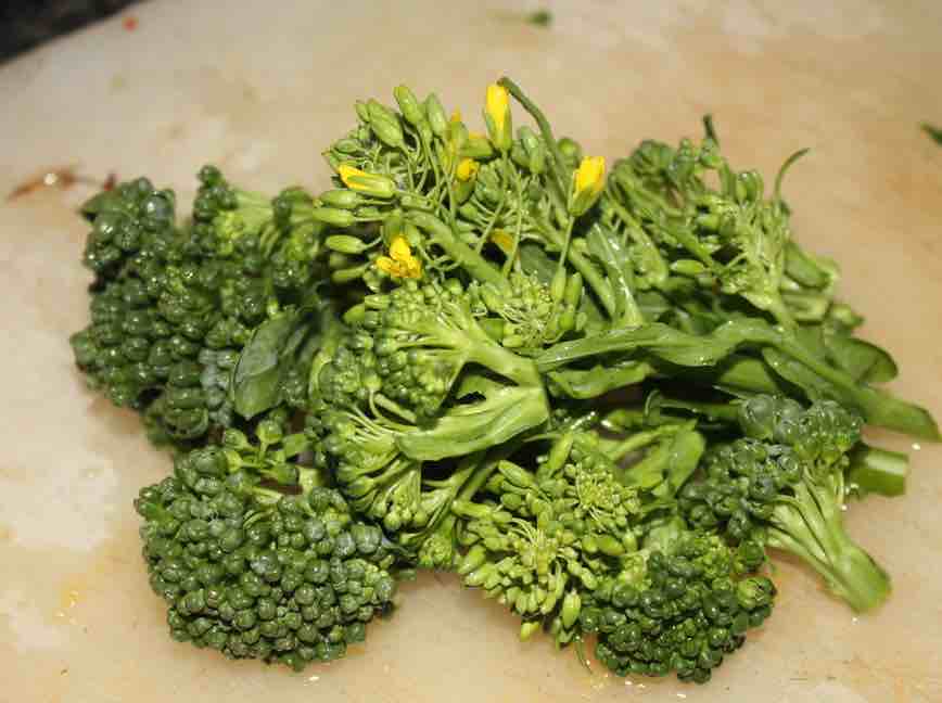 Branching broccoli florets. Branching broccoli florets.