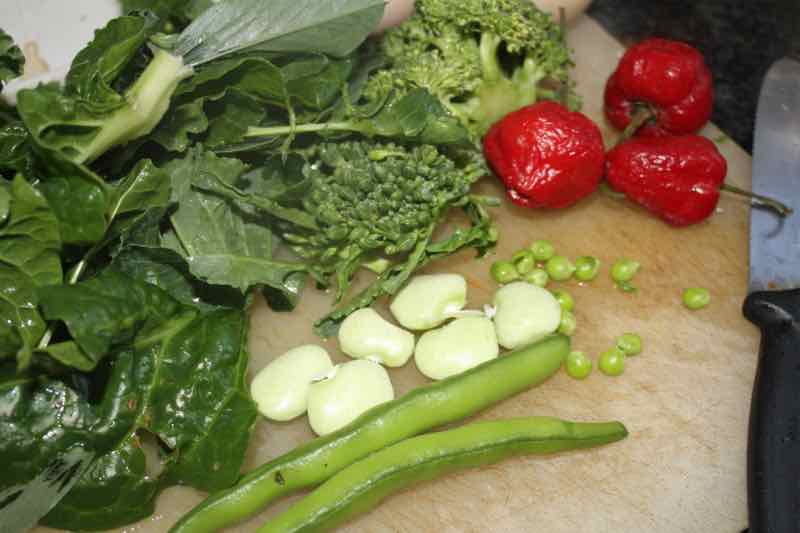 Broad beans with greens and a pepperdew. Broad beans with greens and a pepperdew.