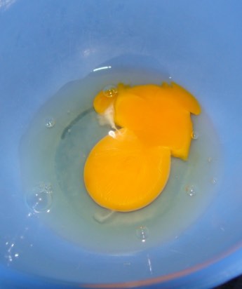 A broken yolk of a hen's egg raises questions about testing. Does it smell? A broken yolk of a hen's egg raises questions about testing. Does it smell?
