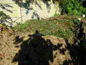 Build your own compost heap turning it. Build your own compost heap turning it.