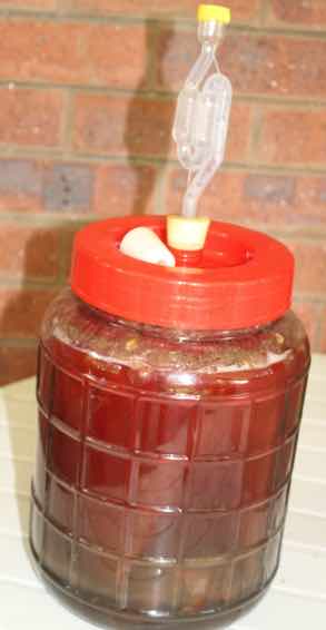 Catawba grape mead in carboy Catawba grape mead in carboy