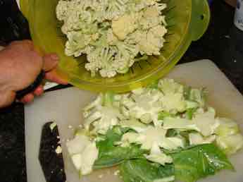 Cauliflower chopped Cauliflower chopped