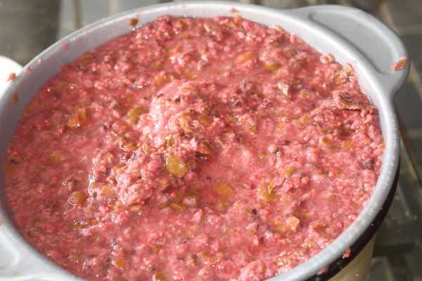 Cherry guava pulp for making mead Cherry guava pulp for making mead