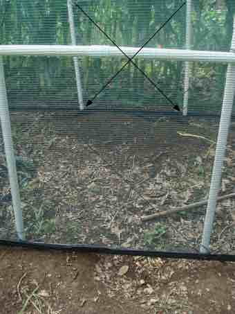 Chicken tractor bracing Chicken tractor bracing