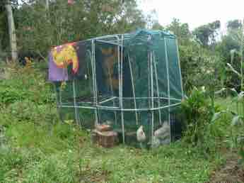 The completed chicken tractor. The completed chicken tractor.
