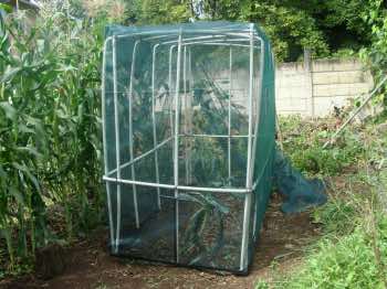 Chicken tractor design Chicken tractor design