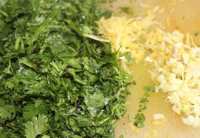 Cilantro lemon zest and garlic Cilantro lemon zest and garlic