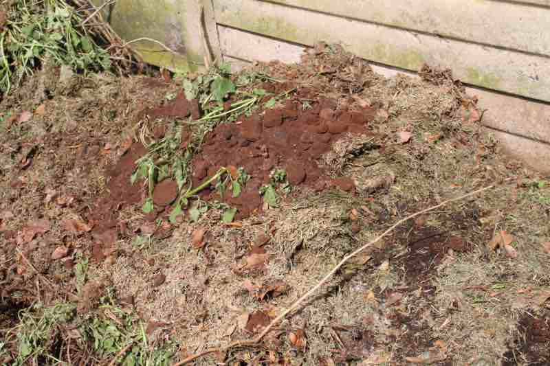 Coffee grounds compost.