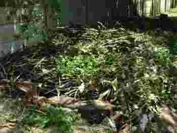 Compost piles are made with alternating dry and green layers. Compost piles are made with alternating dry and green layers.