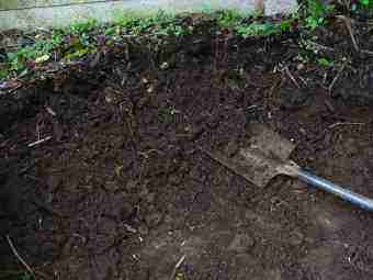 Compost made from sticks and logs. Compost made from sticks and logs.