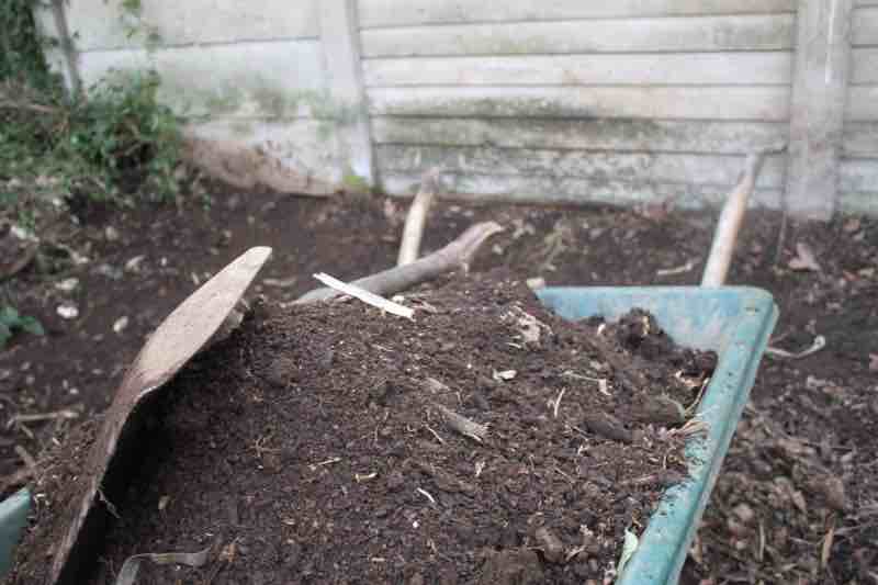 Compost heaps in late winter are more easily worked in dry weather.