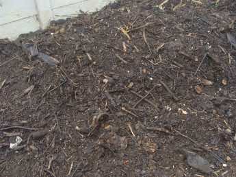 Compost mature. Compost mature.