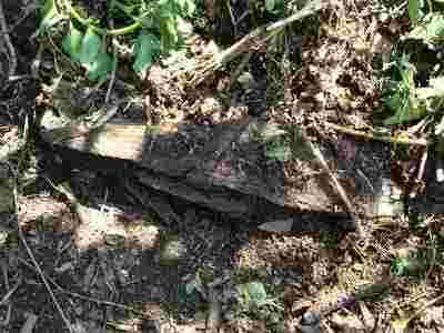 Compost pile foundation Compost pile foundation