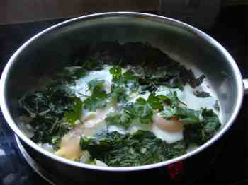 Coriander recipes. Coriander recipes.