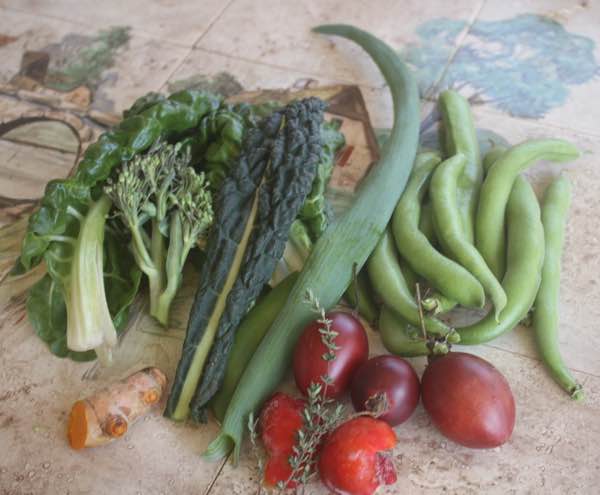 Curcumin in tumeric for broad bean goulash