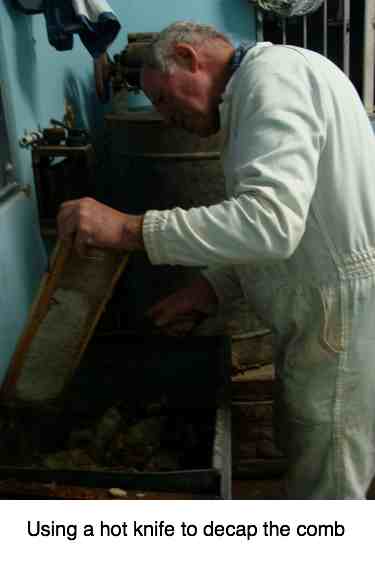 Decapping honeycombs with a hot knife.