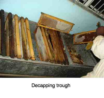 Decapping trough
