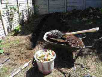 Deep trenching garbanzo beans Deep trenching garbanzo beans