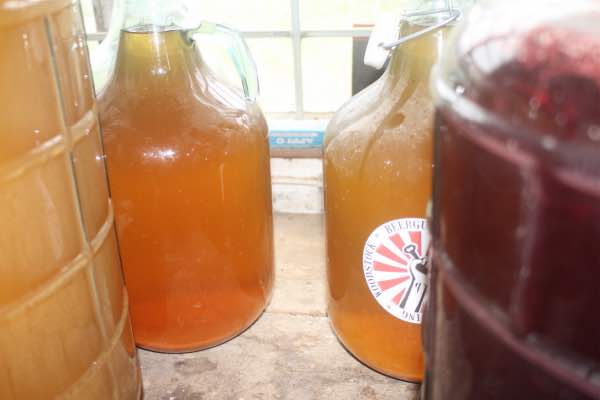 Demijohns of turmeric mead after the first racking