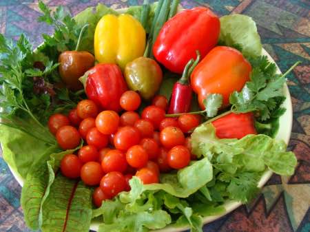 A divine salad is bright with many colours.