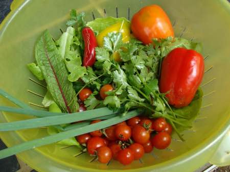 A divine salad should include herbs like coriander and parsley.