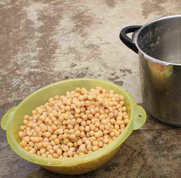 The sprouting chickpeas then need to be pressure cooked before turning them into hummus.