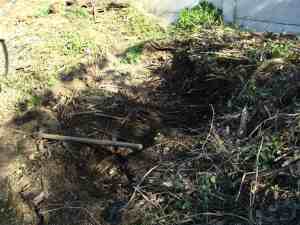 Dry compost material aerates the pile in your if you have a wet winter garden. Dry compost material aerates the pile in your if you have a wet winter garden.