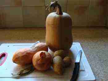 Here are the ingredients for your easy butternut squash soup recipe. Here are the ingredients for your easy butternut squash soup recipe.