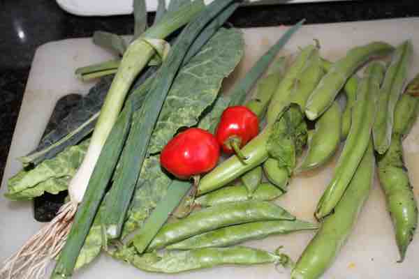 Eggs Hilton made with fava beans and peas. Eggs Hilton made with fava beans and peas.