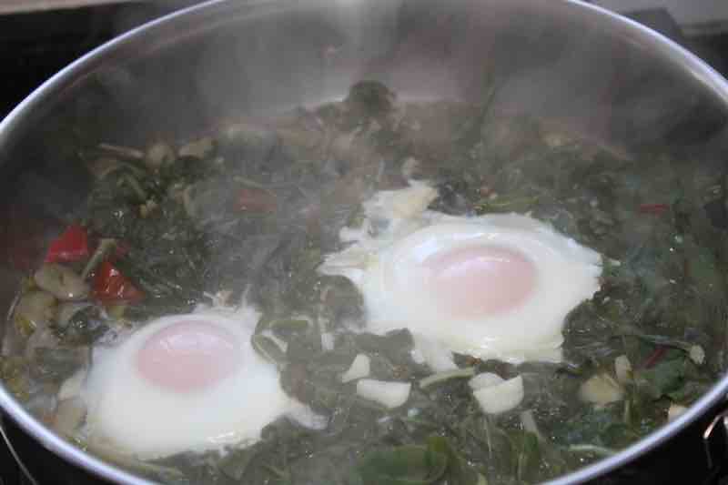 eggs parkinsons disease eggs parkinsons disease