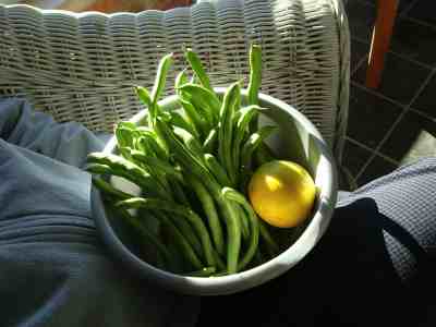 Evergreen pole beans and lemon juice make a delicious salad.