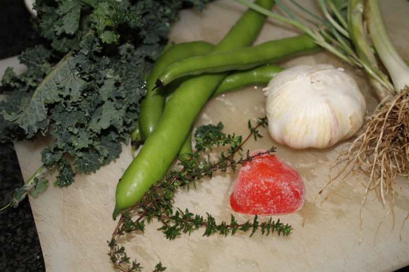 Fava beans with thyme and kale. Fava beans with thyme and kale.