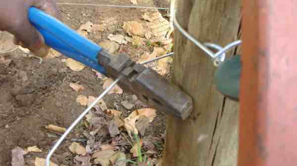 Fencing pliers tensioning the cable. Fencing pliers tensioning the cable.