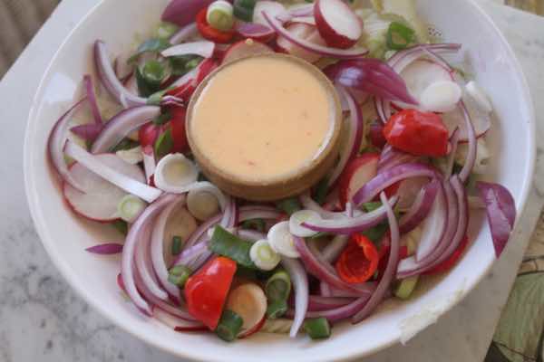 Fennel and radish salad with red onions Fennel and radish salad with red onions