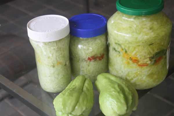 Fermented chaote squash